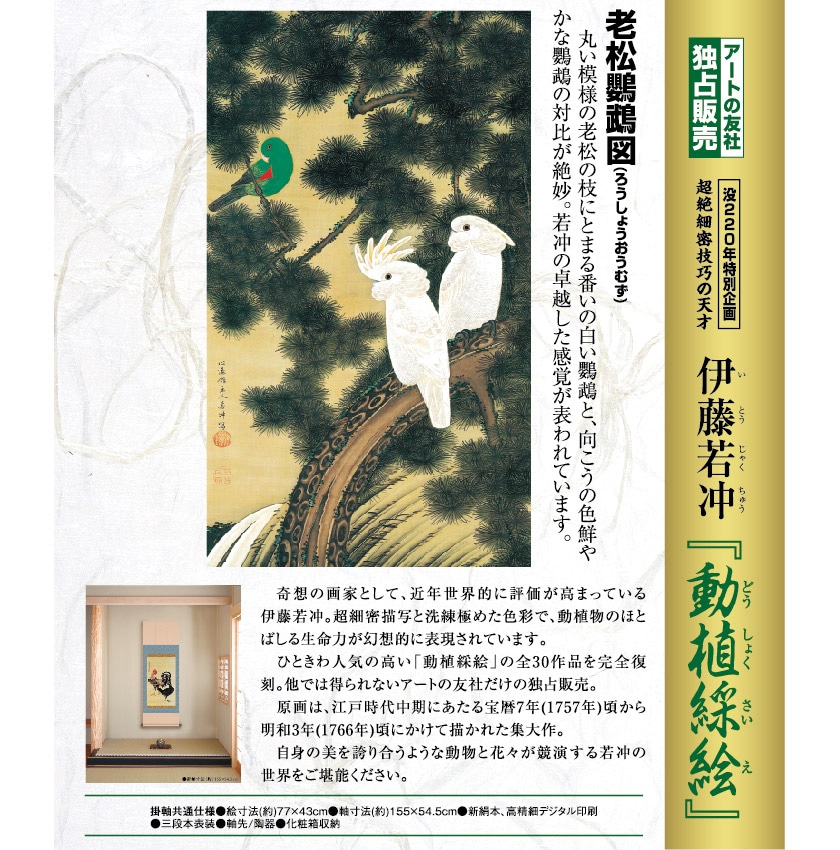 伊藤若冲 動植綵絵 老松鸚鵡図 高級仕様 掛軸 美術品 インテリア 作品