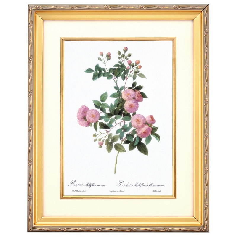 ルドゥーテ バラ図譜 ロサ マルチフローラ カルネア 壁掛けアート