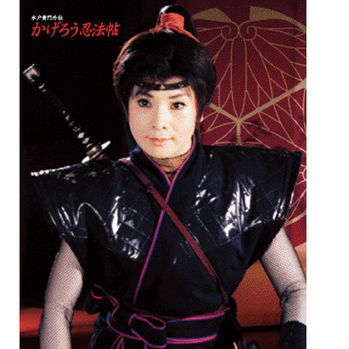 水戸黄門外伝かげろう忍法帖 DVD-BOX 全4枚組 : 水戸黄門外伝かげろう