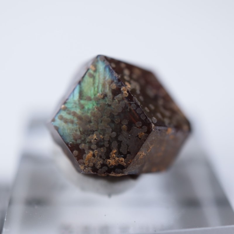 奈良県産 レインボーガーネット | 鉱物標本,カ行,ガーネットグループ