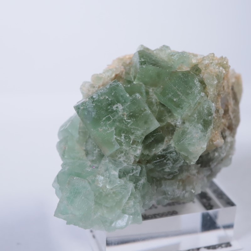 El Hammam鉱山 フローライト | 鉱物標本,ハ行,フローライト/蛍石