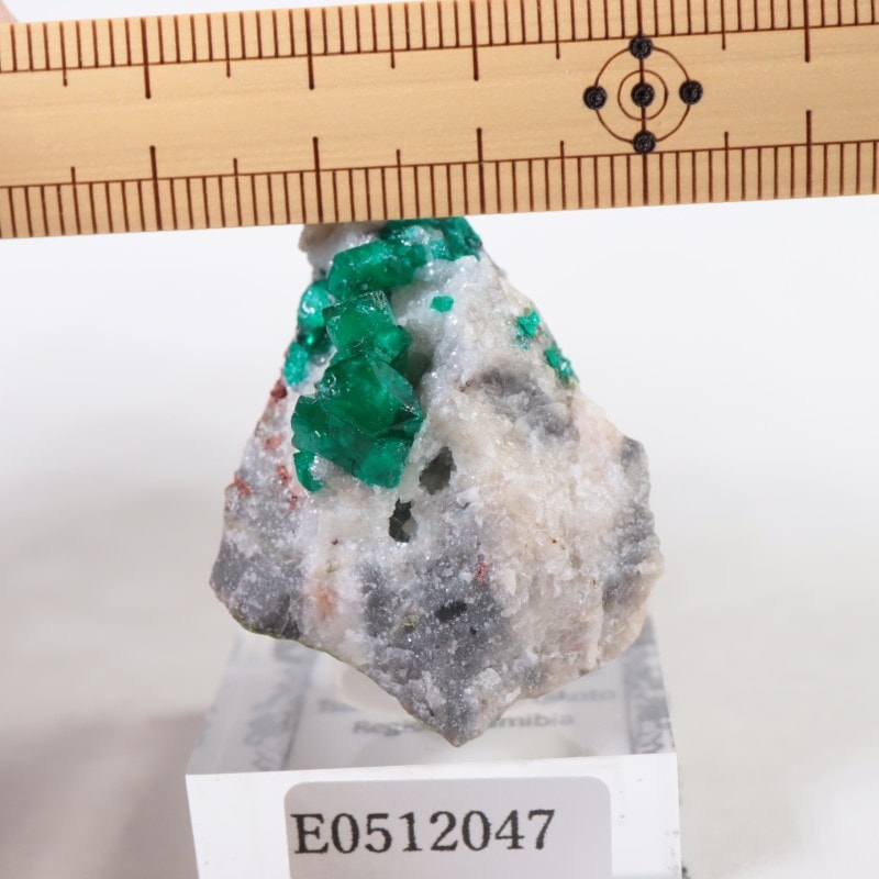 ツメブ鉱山 ダイオプテーズ | 鉱物標本,タ行,ダイオプテーズ/翠銅鉱