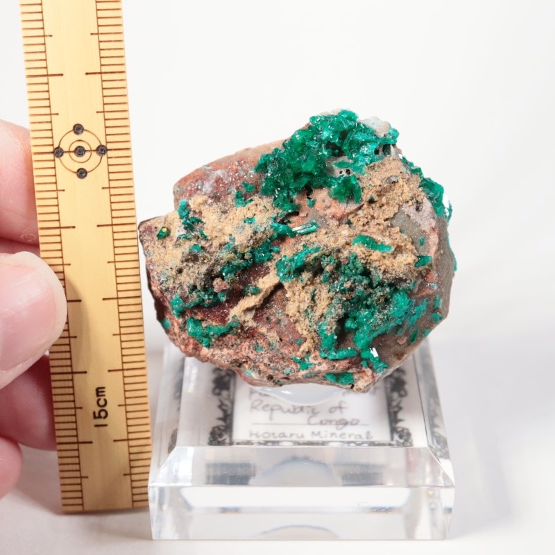 コンゴ産 ダイオプテーズ | 鉱物標本,タ行,ダイオプテーズ/翠銅鉱