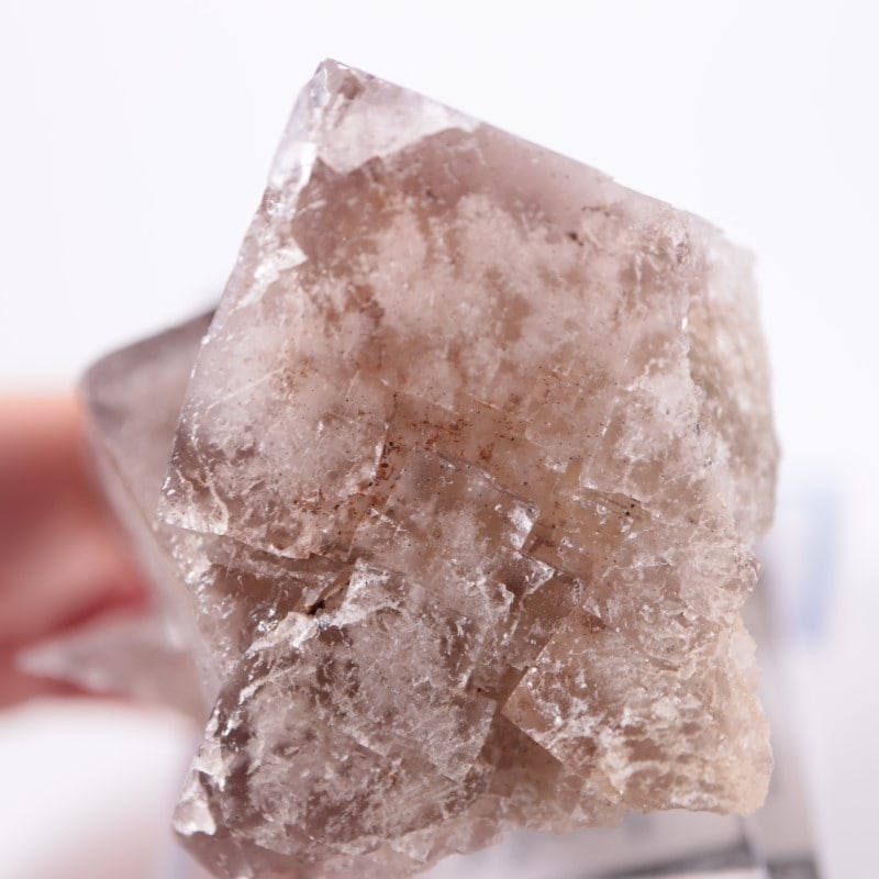 Sherry Twins Pocket フローライト | 鉱物標本,ハ行,フローライト/蛍石