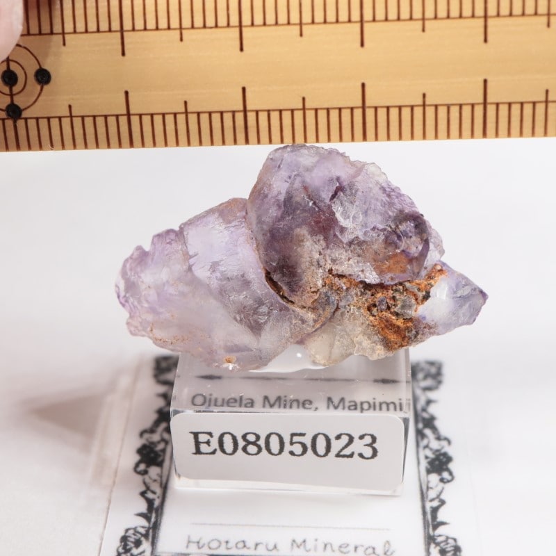 メキシコ産 フローライト | 鉱物標本,ハ行,フローライト/蛍石 | ほたる