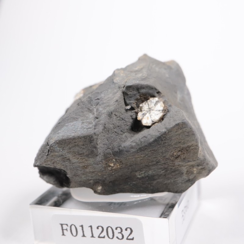 群馬県産 桜石 | 鉱物標本,その他の鉱物 | ほたるみねらるオンライン