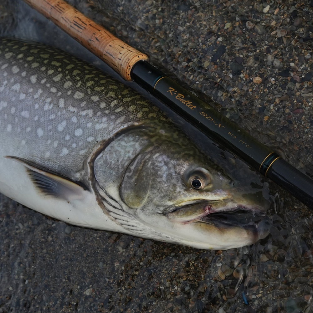 センラ カモフラデフォ アディダス オリジナルス ZX フラックス