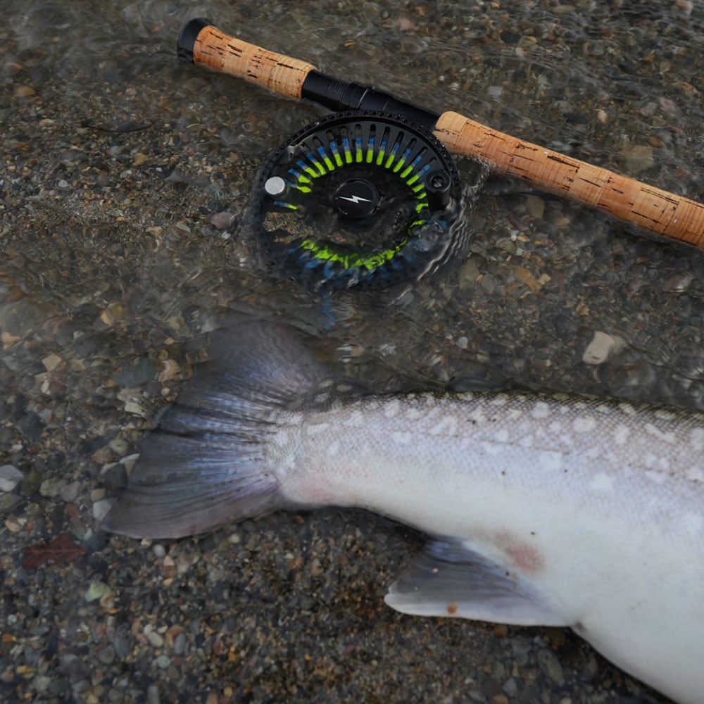 SD-X #13 (17ft) [A0002 010]