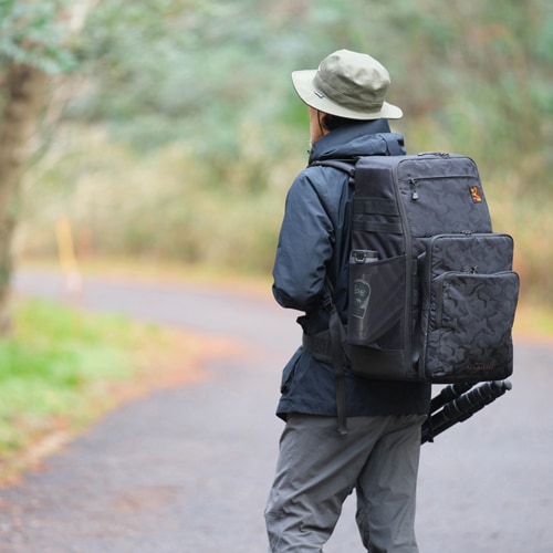 即配】 aosta アオスタ サンクチュアリIV RK614AP ”BIRD CALL EDITION