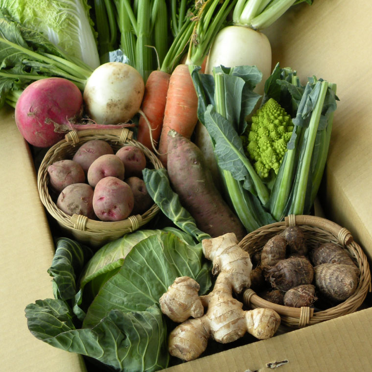 定期 10種】三竹さんのあまっ娘野菜セット[愛知] | あまっ娘野菜(予約