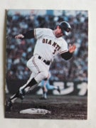 カルビープロ野球カード,74年 | キンキーズ オンラインショップ