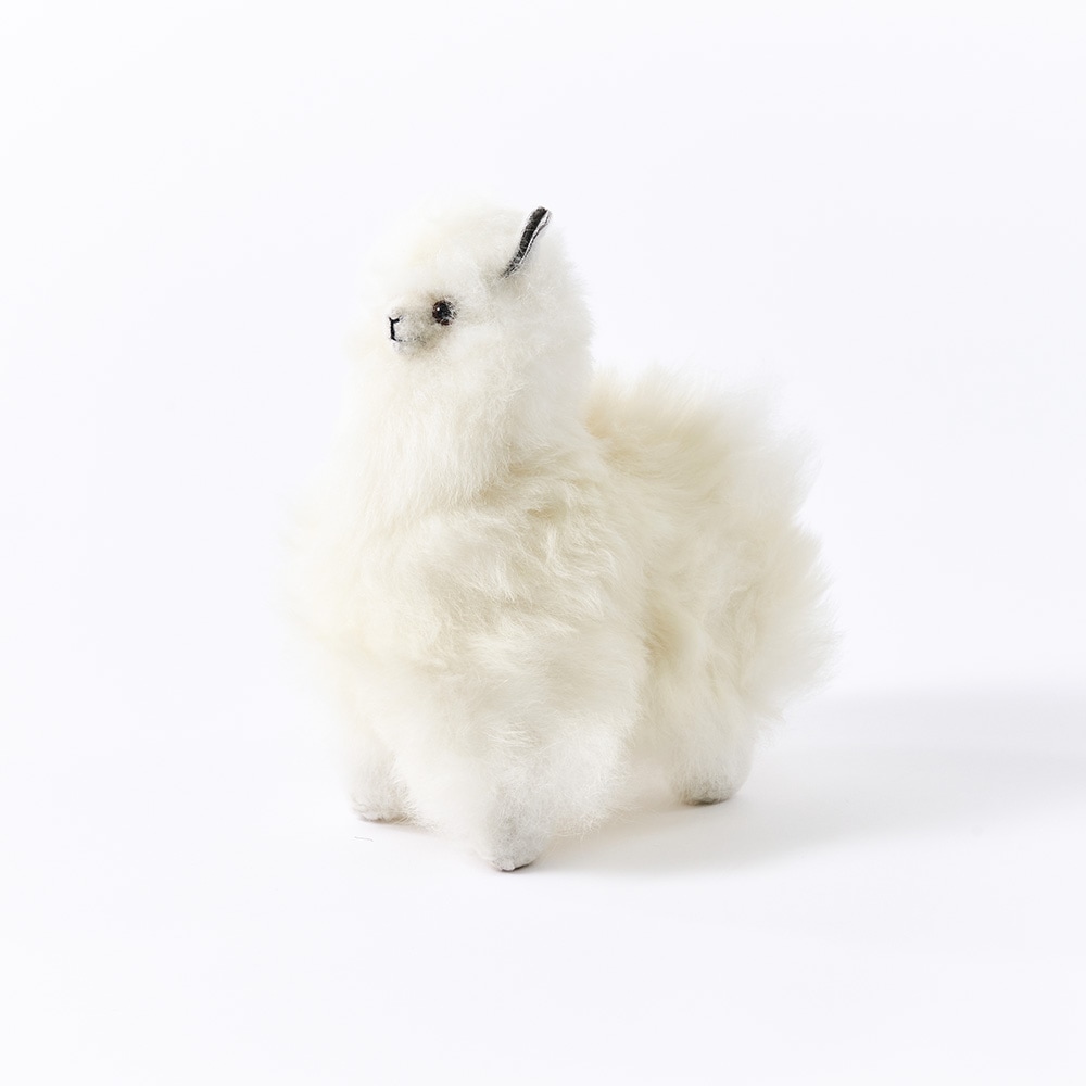 elvang｜アルパカ テディ 20*20 | KONCENT Web shop｜アッシュ