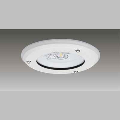 LEDEM30602WM || LED非常用照明器具 東芝 専用形 埋込防湿防雨形中天