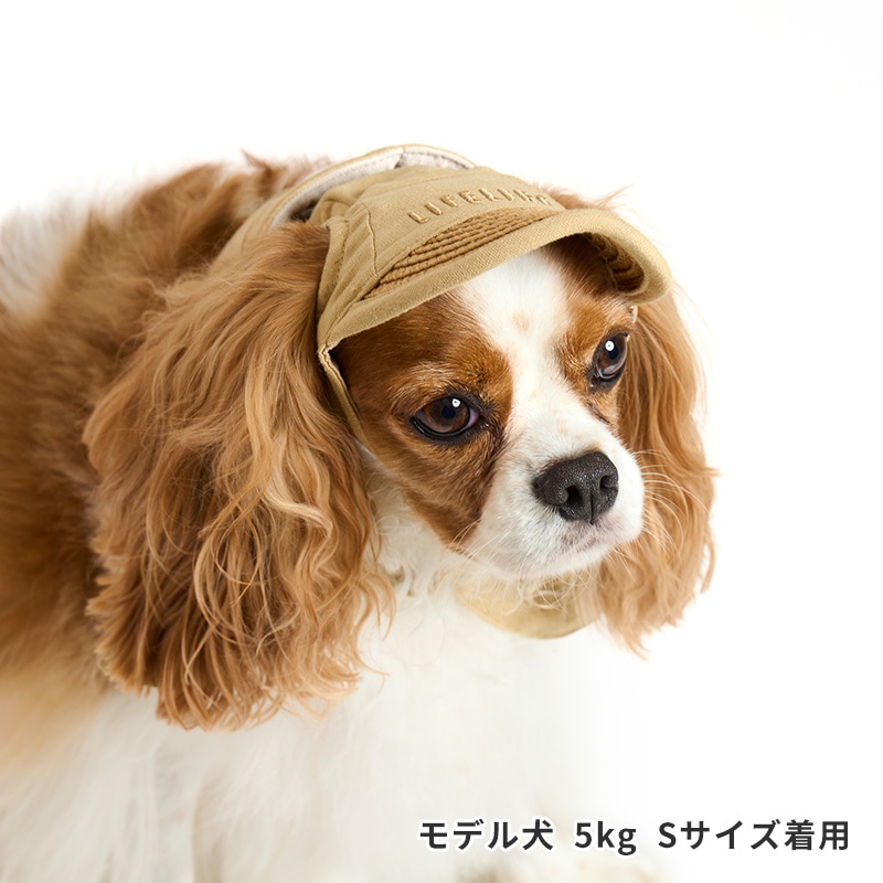 リネン混麦わらキャップ | Cap（キャップ・ハット・バンダナ類