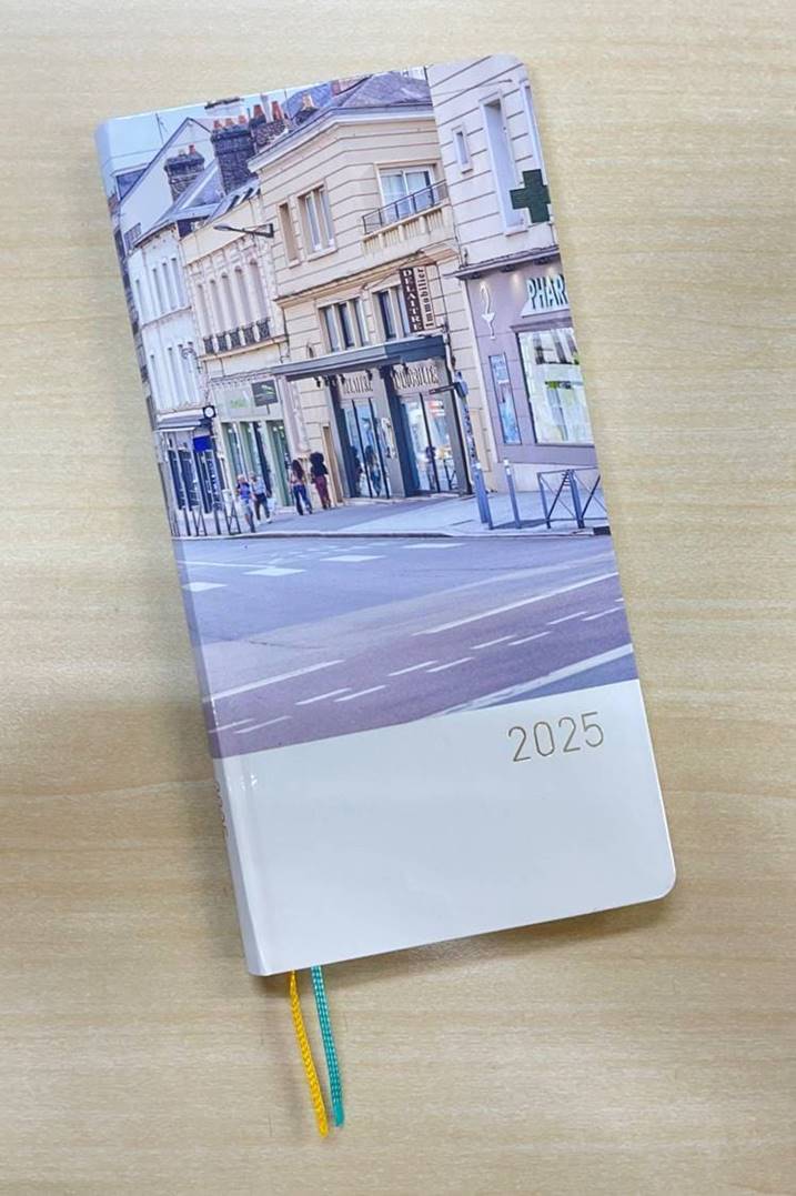 坂本真綾 ほぼ日手帳 2025 weeks spring 4月はじまり版