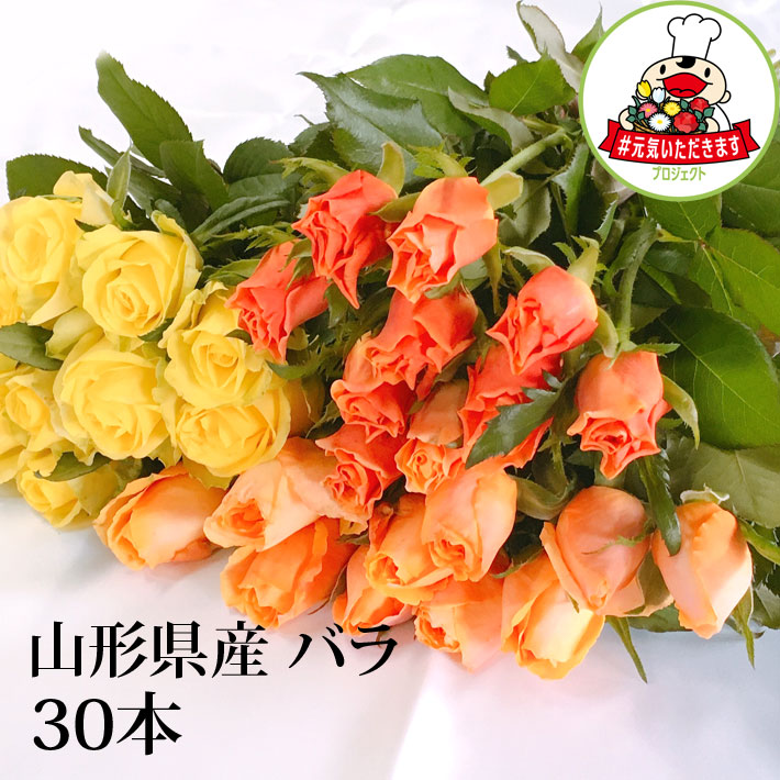 バラ 30本 山形県 寒河江市産 大沼バラ園 切り花 生産者直送のため同梱