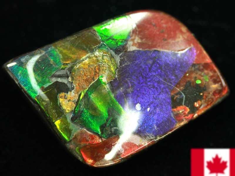 超激レア！虹色に輝くイリデッセンス☆アンモナイト化石宝石☆7000万年