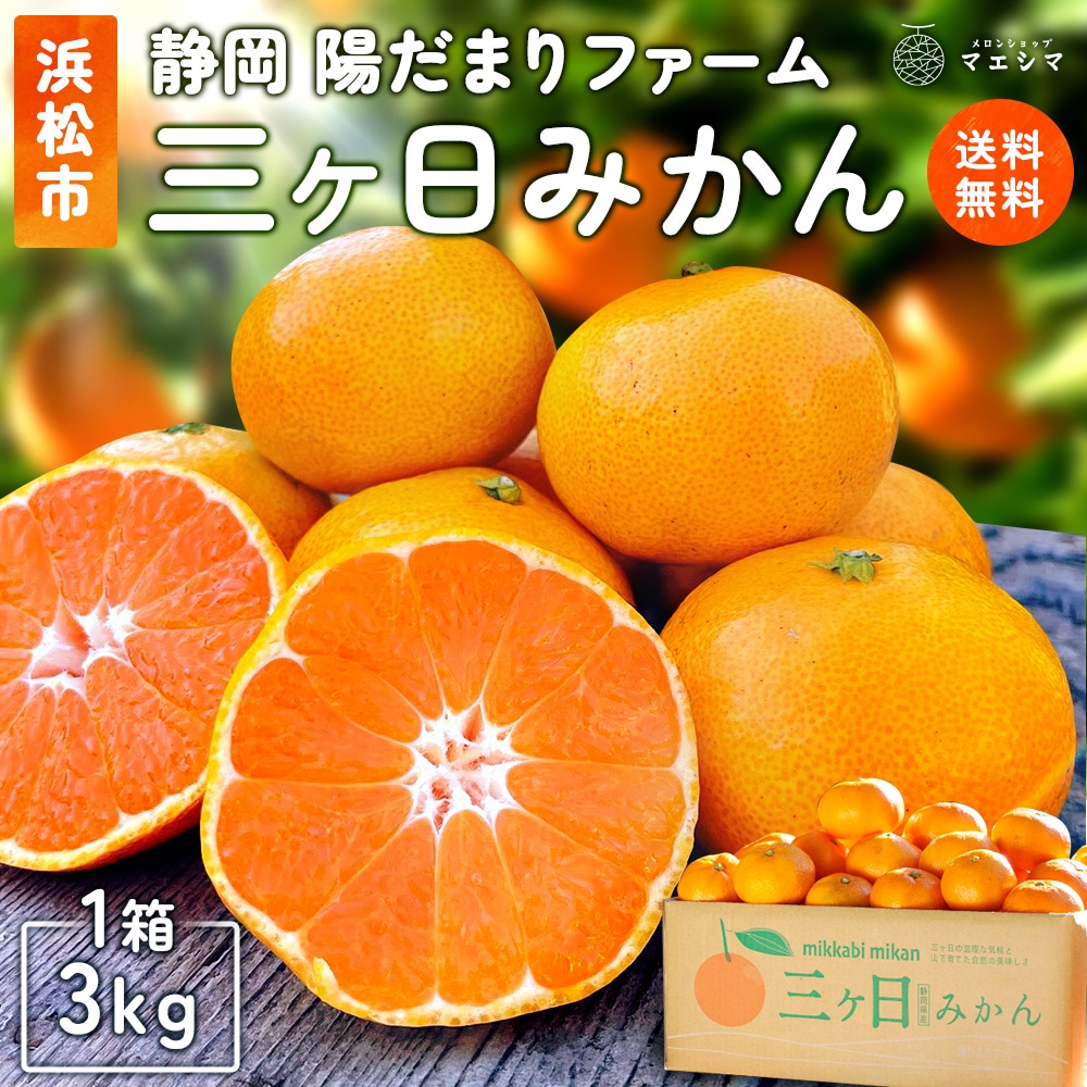 陽だまりファーム 三ヶ日みかん 約3kg│ 静岡クラウンメロン通販メロン