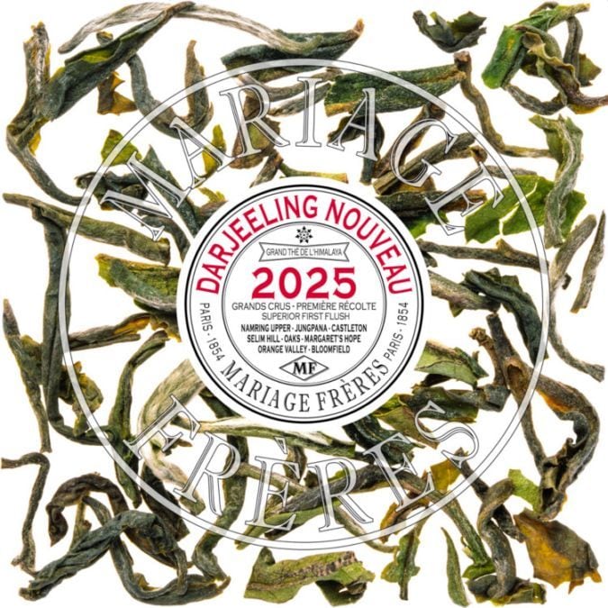 お茶銘柄,アイコニック ティー,ダージリン ヌーヴォー | マリアージュ