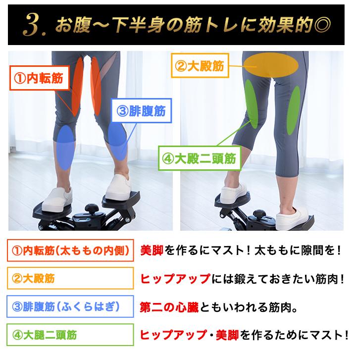 サイドステッパーTHEMAX20│DR3885│エアロライフ公式