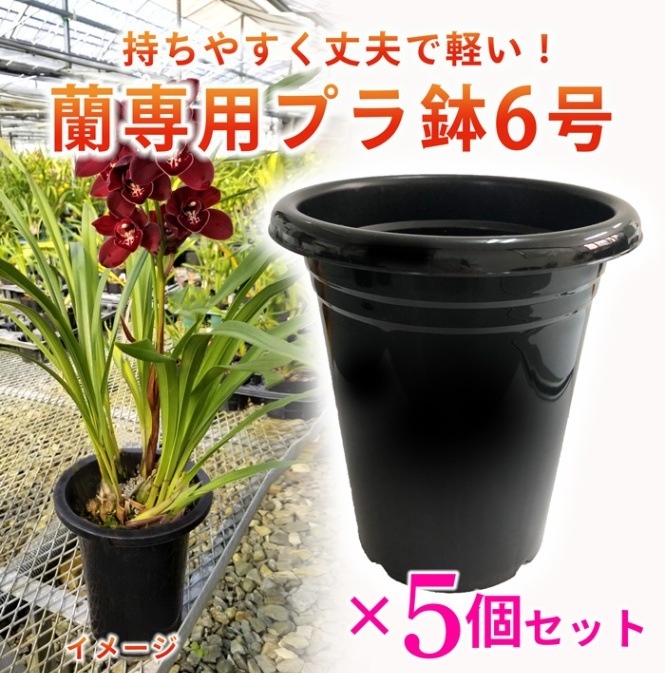 FARM BASE ONLINE SHOP｜洋らん・和らん・苗・資材のギフト・直売