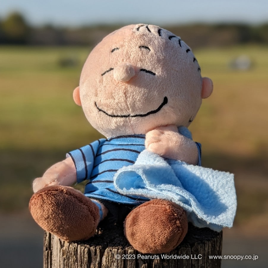 フレンズビーンドール ライナス