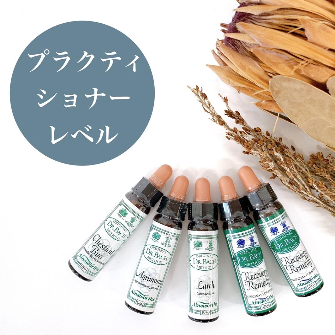 エインズワース バッチフラワーエッセンス10ml 40本キット | ブランド
