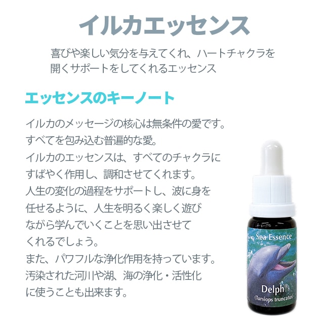 イルカ(デルフ)[Dolphin] | ブランド一覧,PHIエッセンス,イルカ