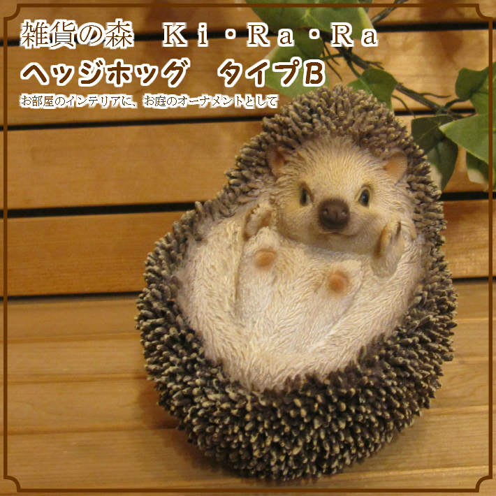 ハリネズミの置物 Bタイプ 仰向け ヘッジホッグ リアル はりねずみ