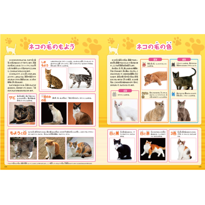 イヌ・ネコkodo-mall(こどもーる)／ポプラ社公式通販サイト