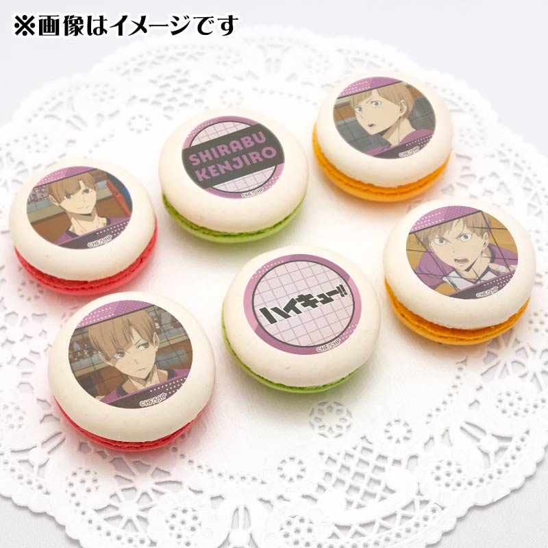 プリマカロン6個セット2025（白布賢二郎）【特典缶バッジ付き