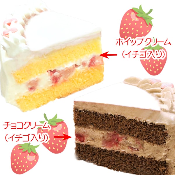 プリケーキ（丸藤亮）【特典缶バッジ付き】[遊☆戯☆王デュエル