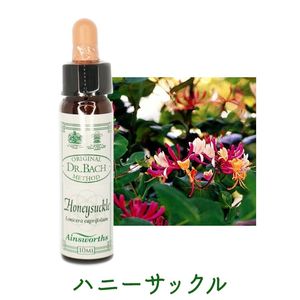 エインズワースバッチフラワーエッセンス｜フラワーレメディ【公式】