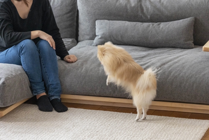 ソファ Fumi(フミ) 幸せになるソファ ワイド＋ロングセット 標準生地