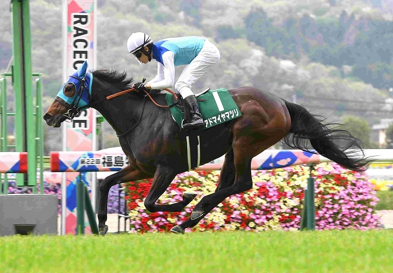 R7・福島牝馬Sレースパネル アドマイヤマツリ | サンスポe-shop