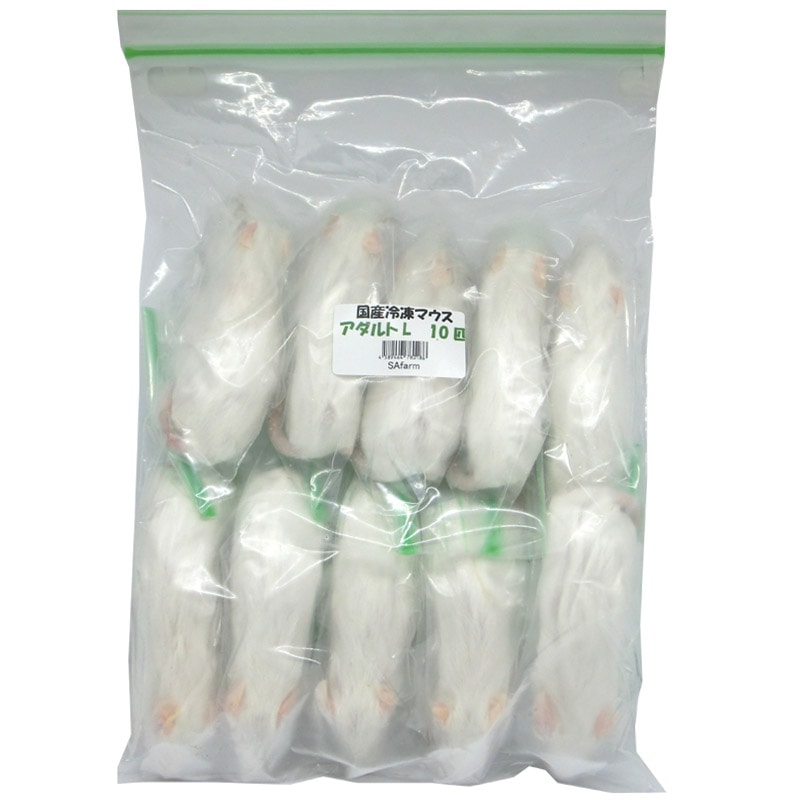 冷凍マウス アダルトL 10匹 国産 SAfarm | 冷凍マウス,アダルト