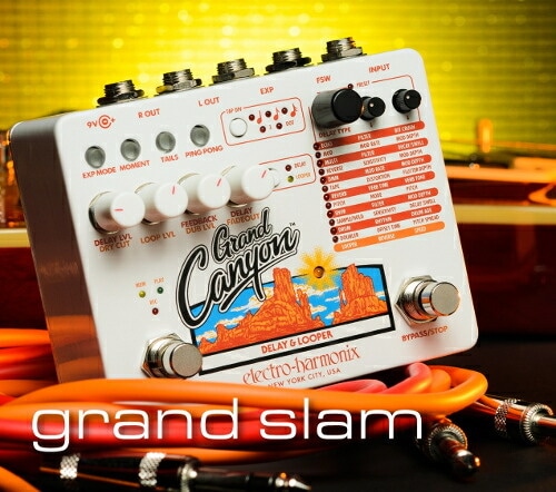 ピック10枚セット付き！】Grand Canyon (グランドキャニオン) ディレイ