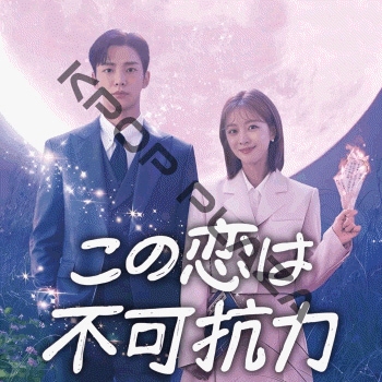 K-POP PLAZA】KPOP DVD 韓流グッズ 専門店 新大久保 KPOPDVD