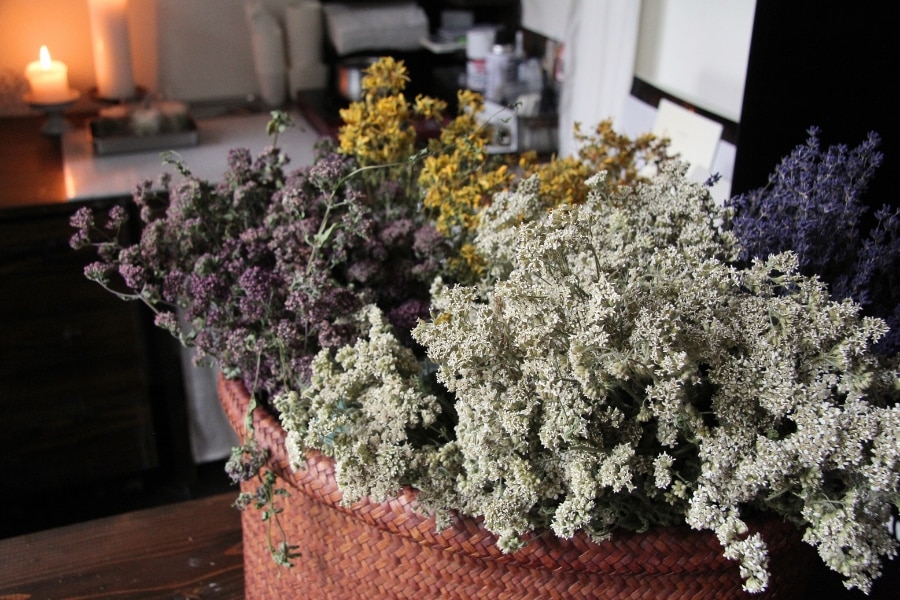 ハーブのソイキャンドル | 草灯 【 北海道 スロウなお買い物 ～slowly