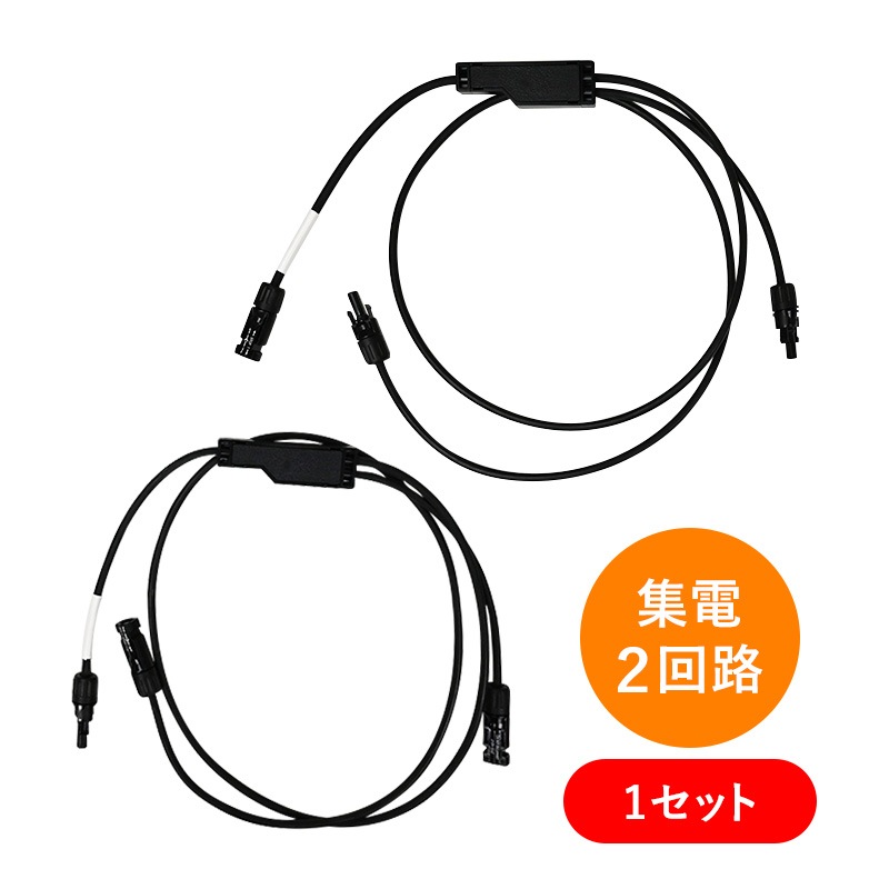 5_000000000653.jpg?1706496806