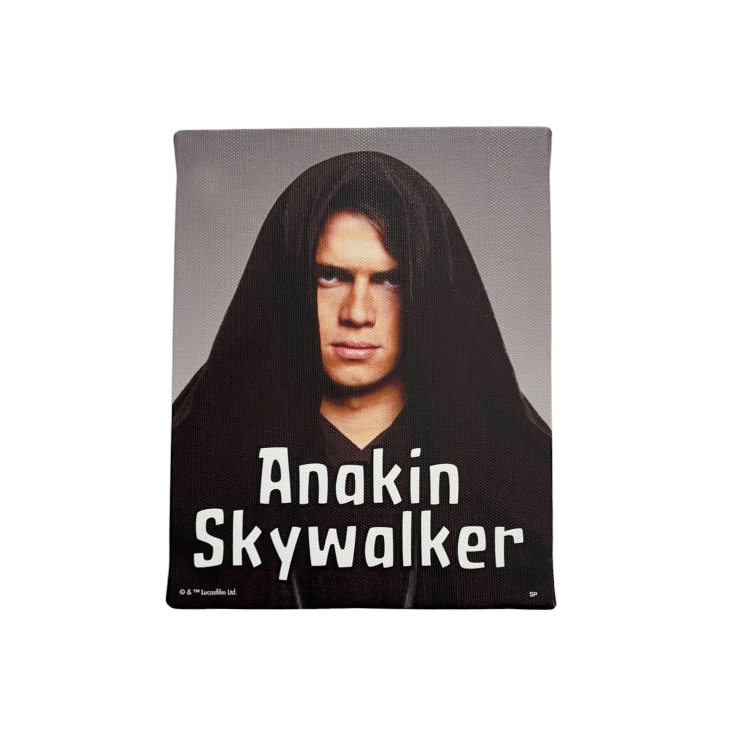 公式] スター・ウォーズ セレブレーション 先行商品 アートパネル F0