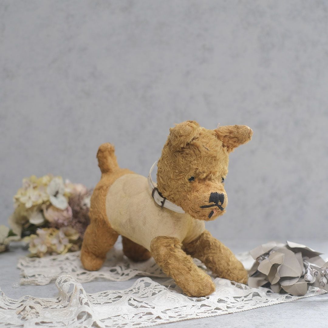 ヴィンテージぬいぐるみ フランス 首輪をつけた犬のスタッフドトイの