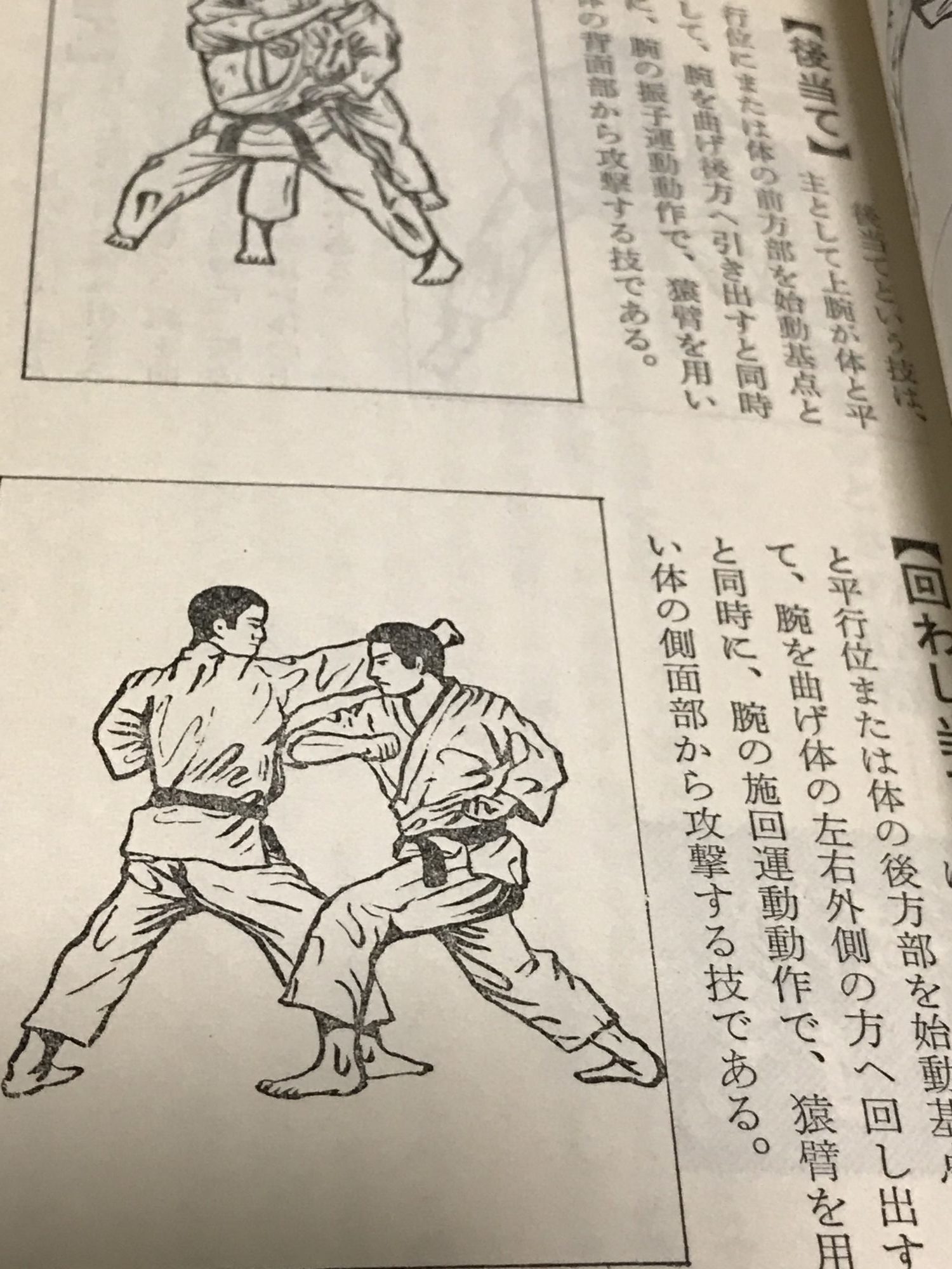 空手鍛錬三ヶ月 | martial arts log