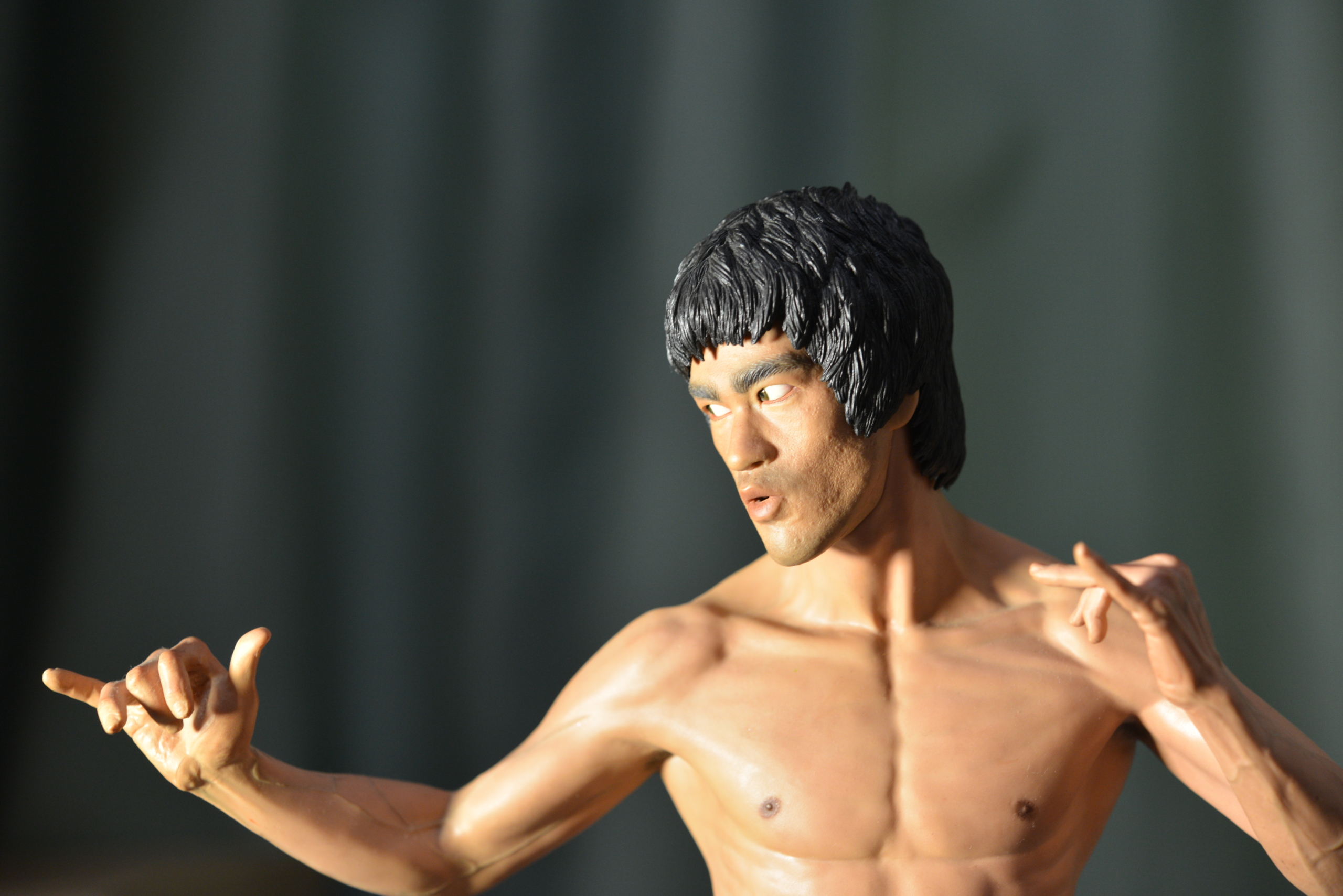 詠春拳は弱い？ | martial arts log