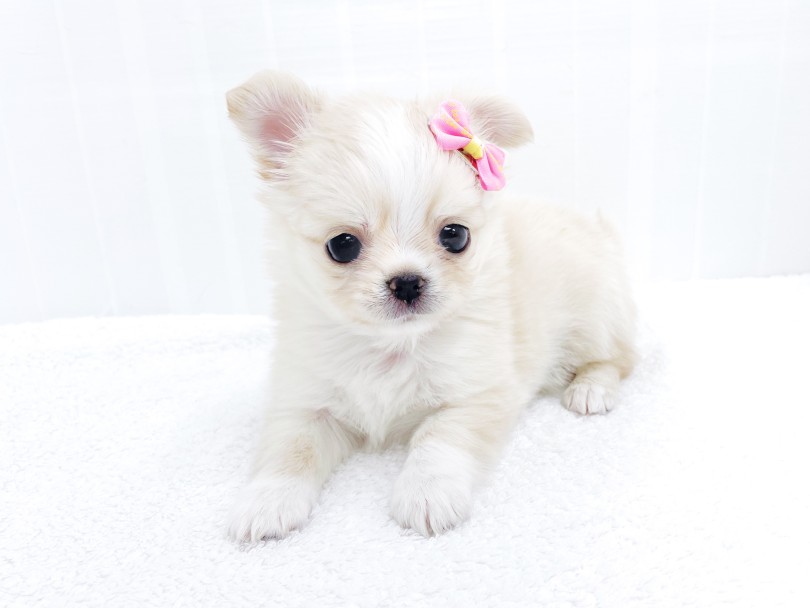 147d731aa7fe5bed4952dc84cac3ce