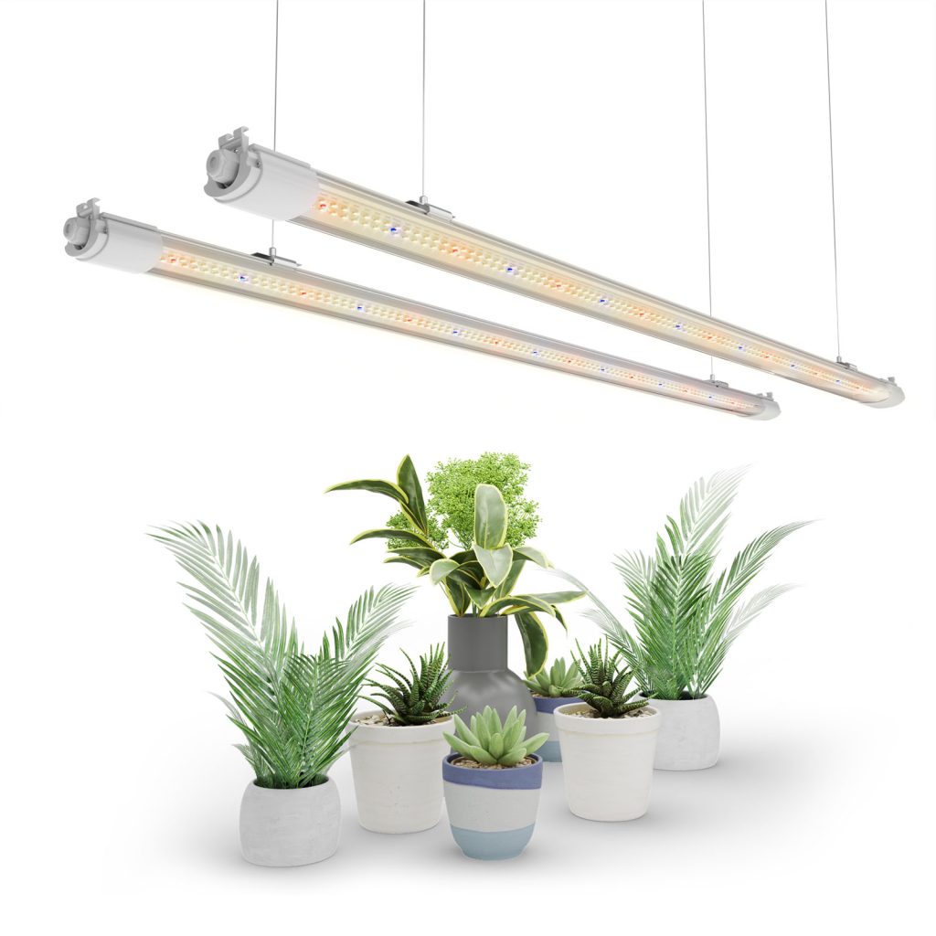 Plant Stand & VG Light - Mars Hydro JP