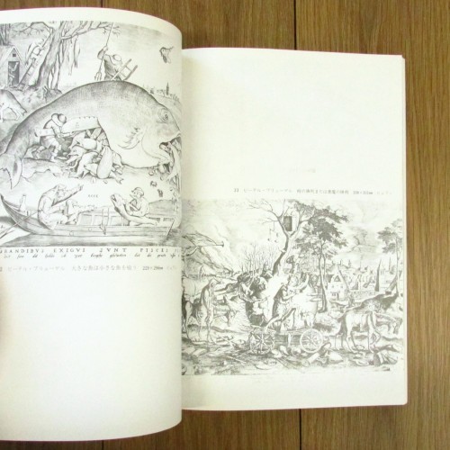 幻想の版画 :双書 美術の泉25