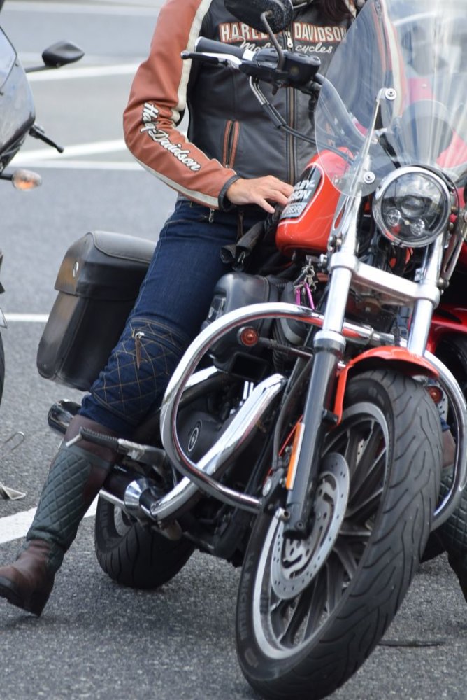 冬の定番『ウォームスクランブラーパンツ』入荷‼ | マックスフリッツ