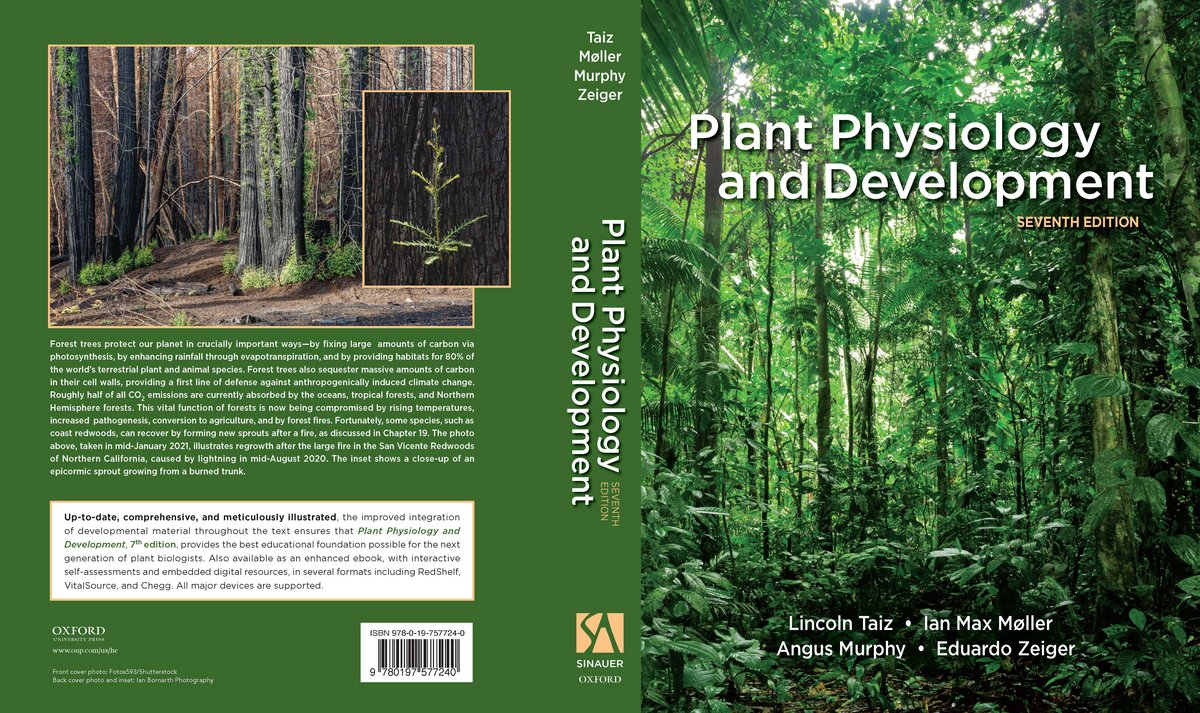 New concept for the world's best-selling textbook on plant physiology