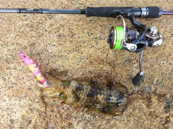 21エメラルダスMX83MLのインプレ！使用感と17エメラルダスMXとの違い